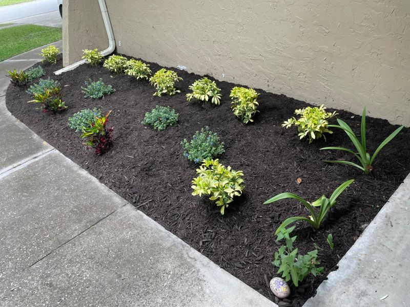 Rocks And Mulch