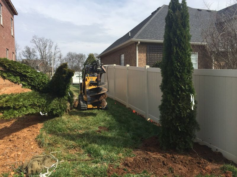 Shrub Trimming