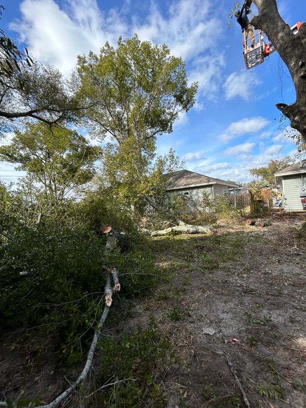 Land Clearing/ Forestry mulching gallery