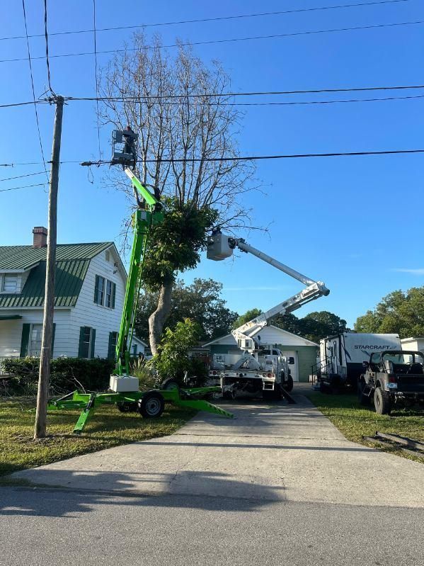 Tree Trimming