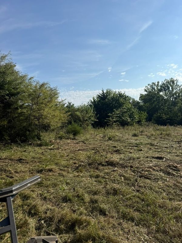 Land Clearing
