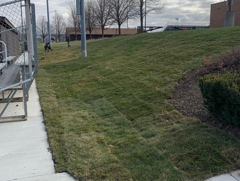Landscaping