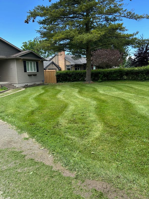 Lawn Mowing
