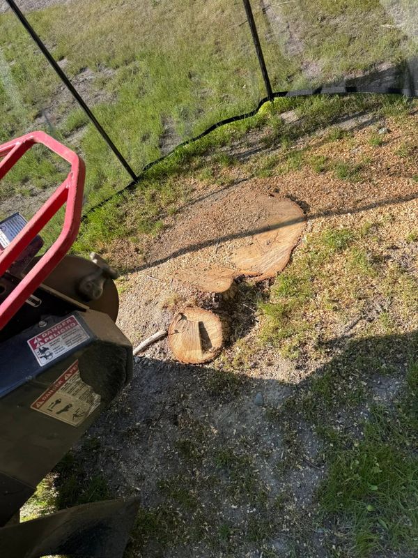Stump Grinding