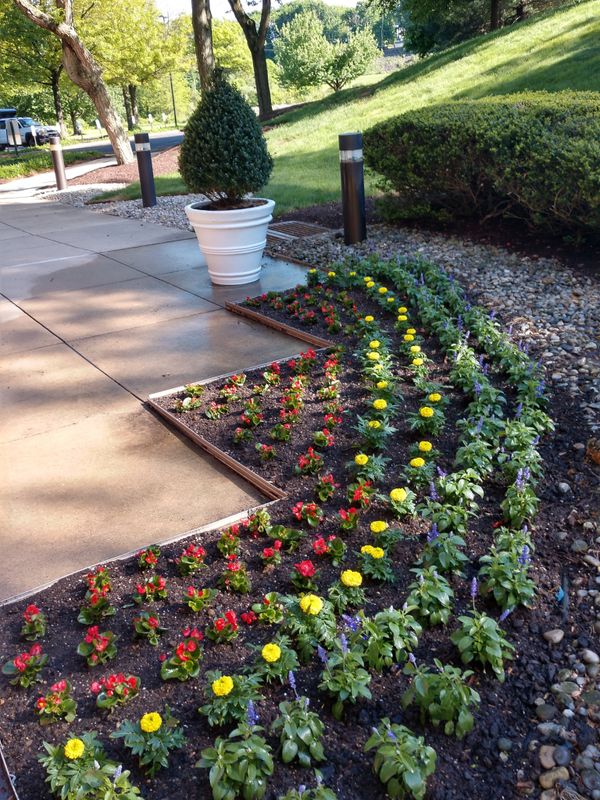 New landscapes. Plantings and mulch