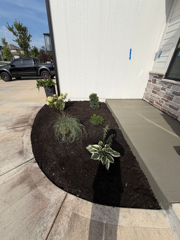 Landscape Installation