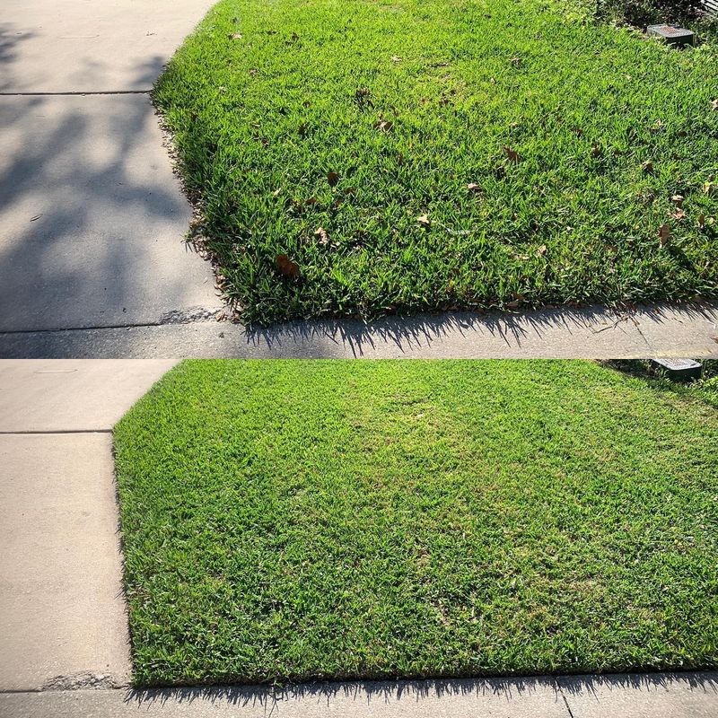 Landscape Maintenance & Mowing Services