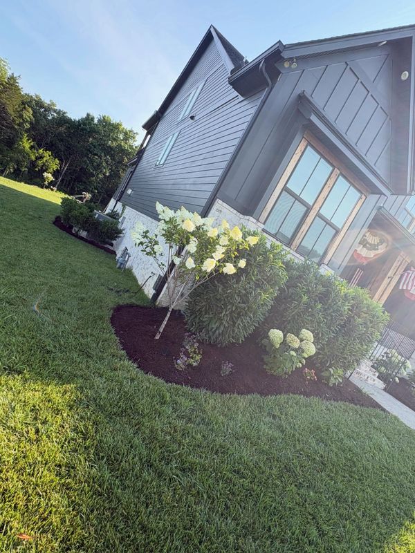 Lawn Maintenance