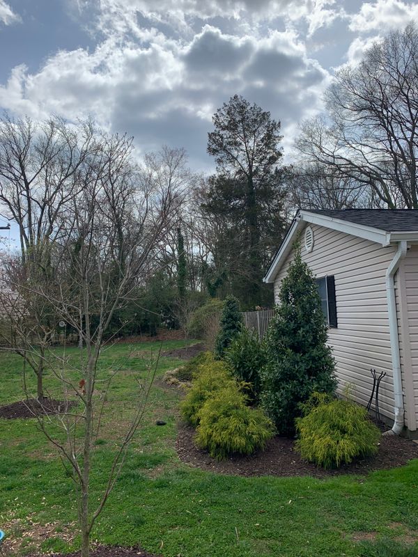 Lawn Care & Maintenance