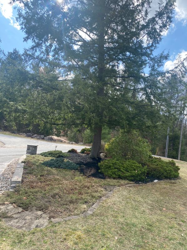 Garden Maintenance