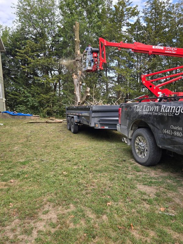 Tree Trimming