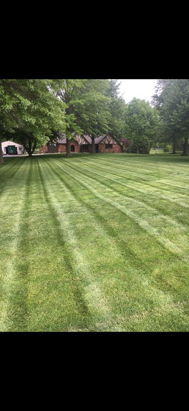 Lawn Mowing and Maintenance