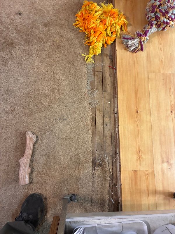 Interior Renovation