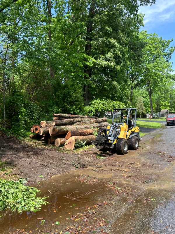 Stump Removal