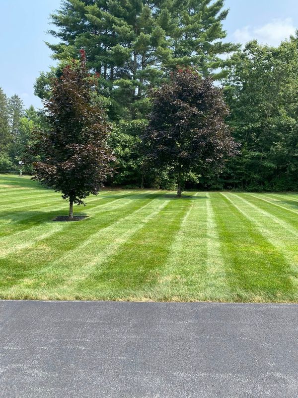 Mowing