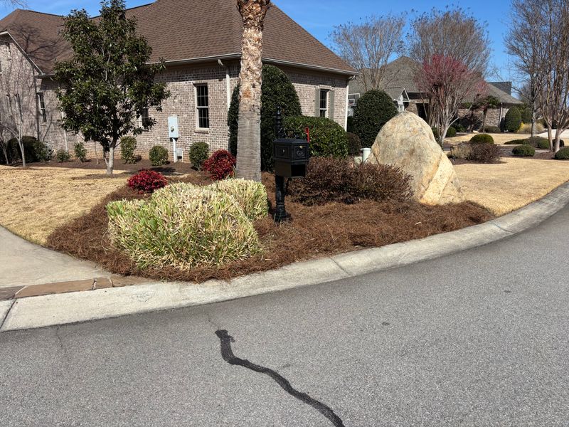 Mulch Installation