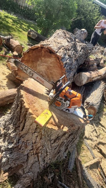 Tree Removal