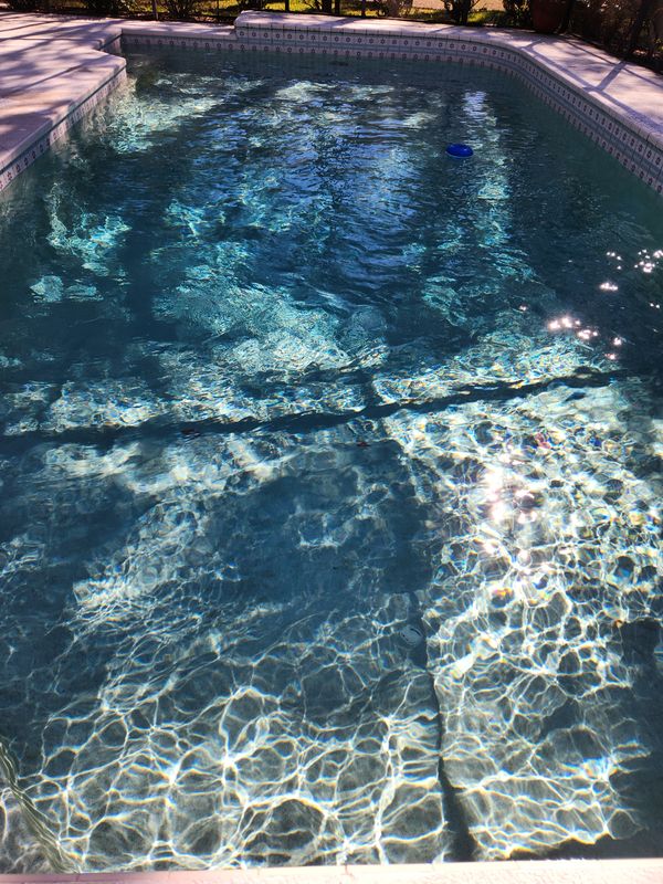 Pool Maintenance