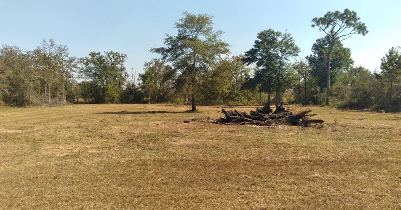 Landscaping & lawncare services