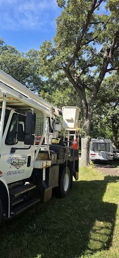 Tree Trimming