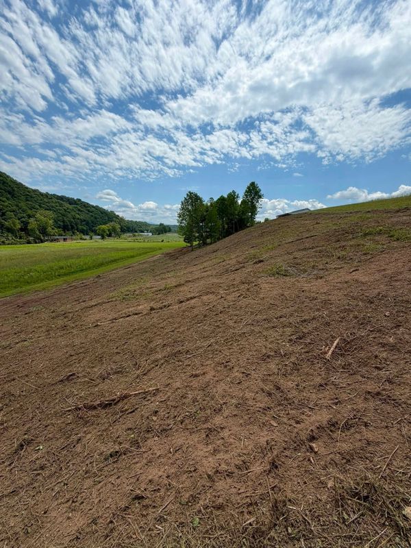 Largescale Landclearing
