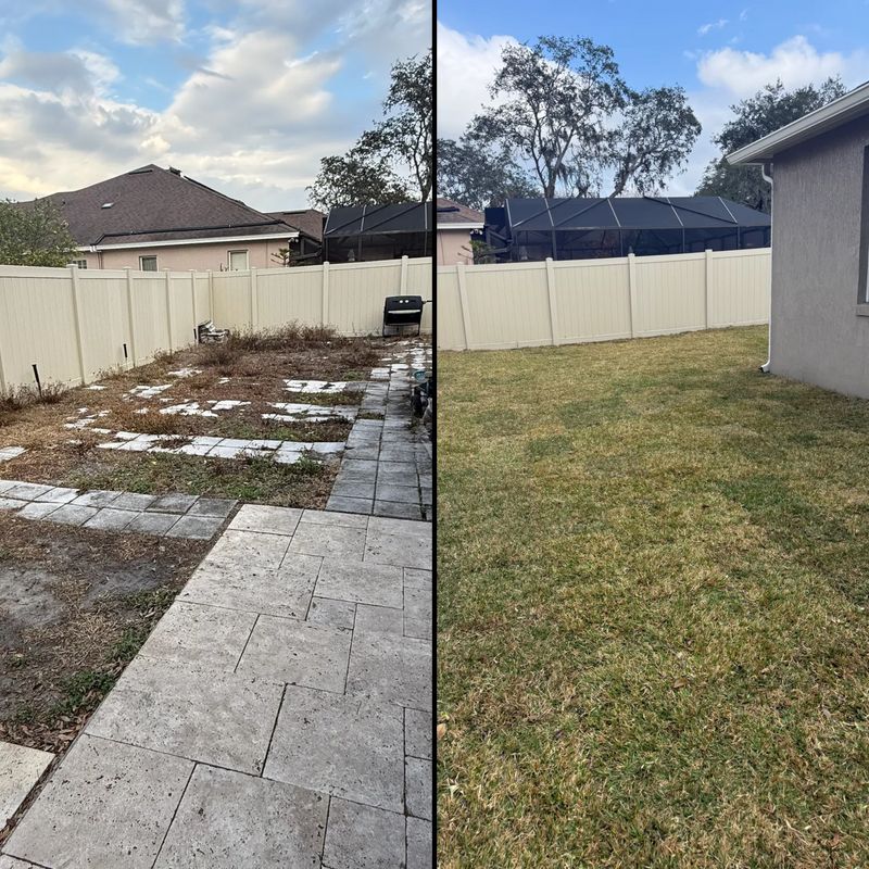 Sod Installation