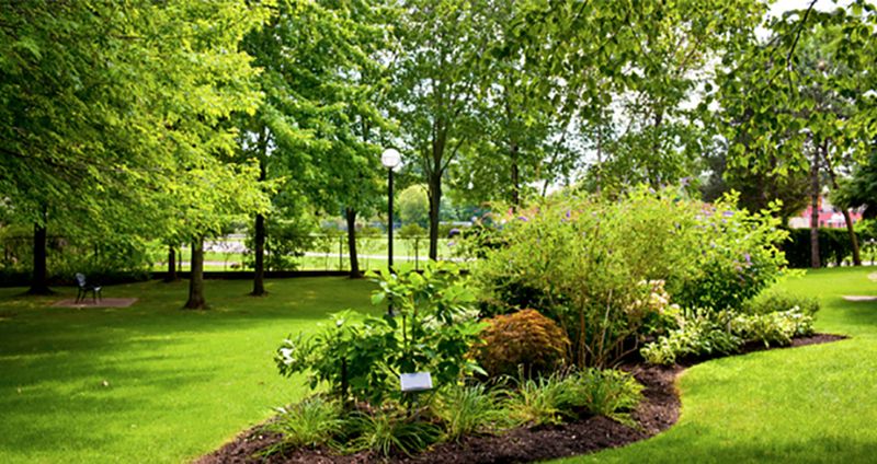 Lawn Maintenance