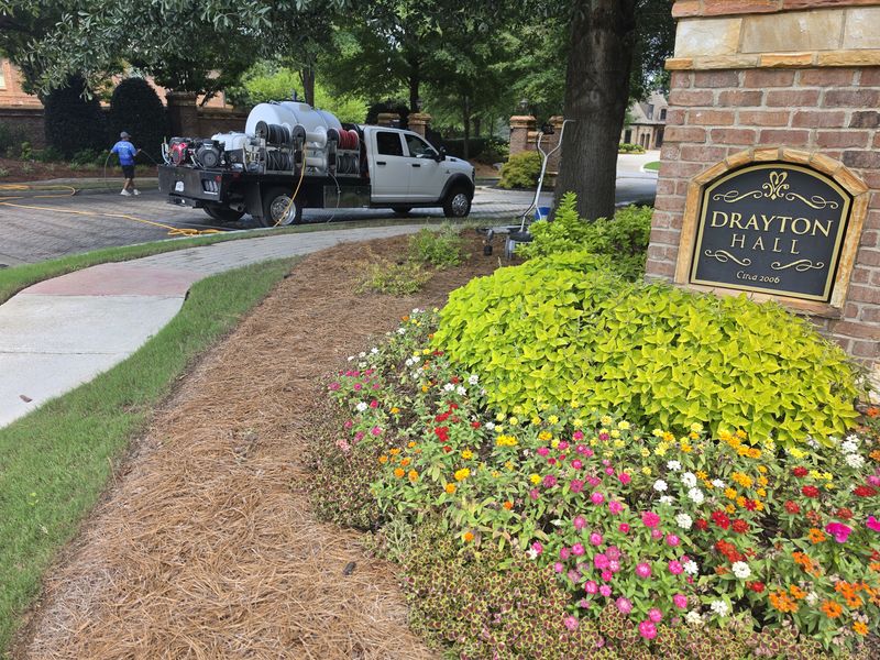 Driveway and Sidewalk Cleaning