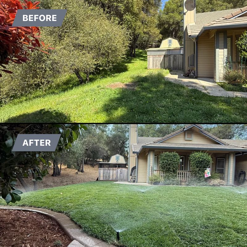 “Before & After”