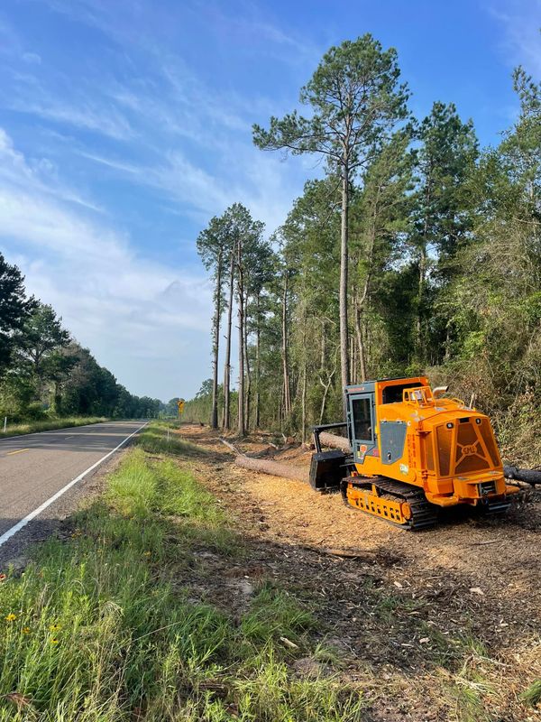 Stump Removal