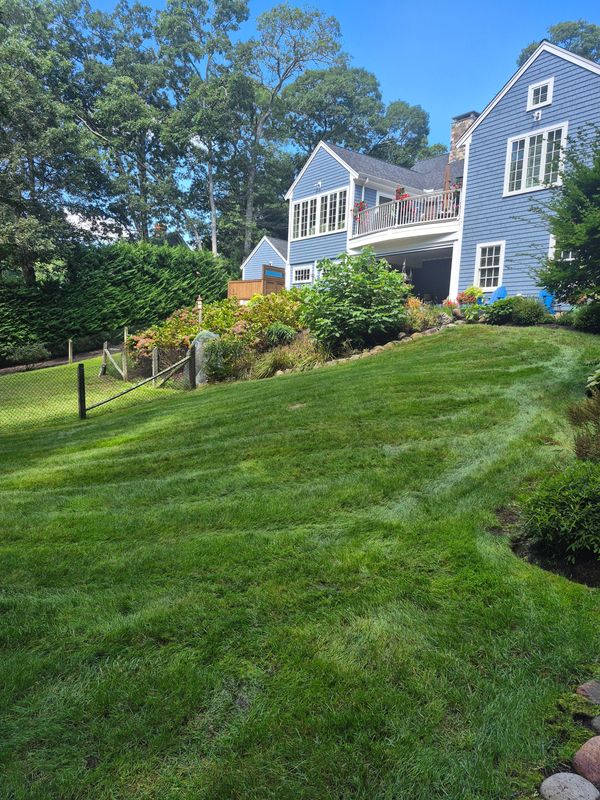 Lawn Maintenance