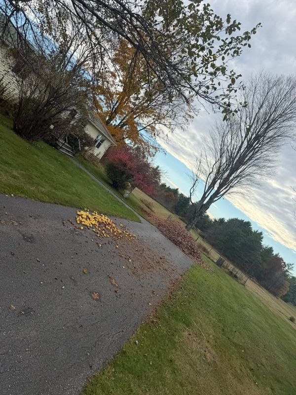 Seasonal Clean-up Services