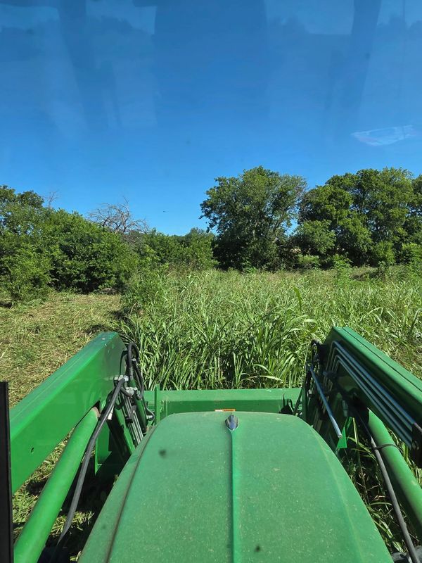 Weed Control