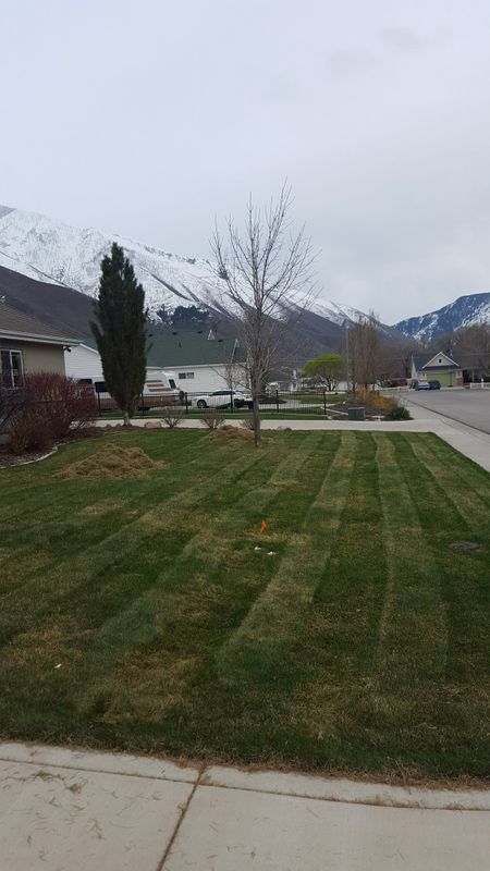 Other Lawn Services
