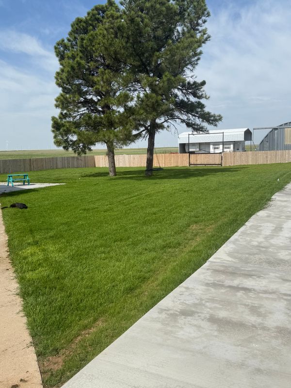 Sod Installations