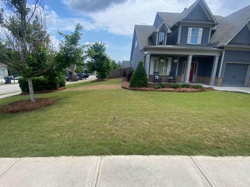 🌱 Sod Installation