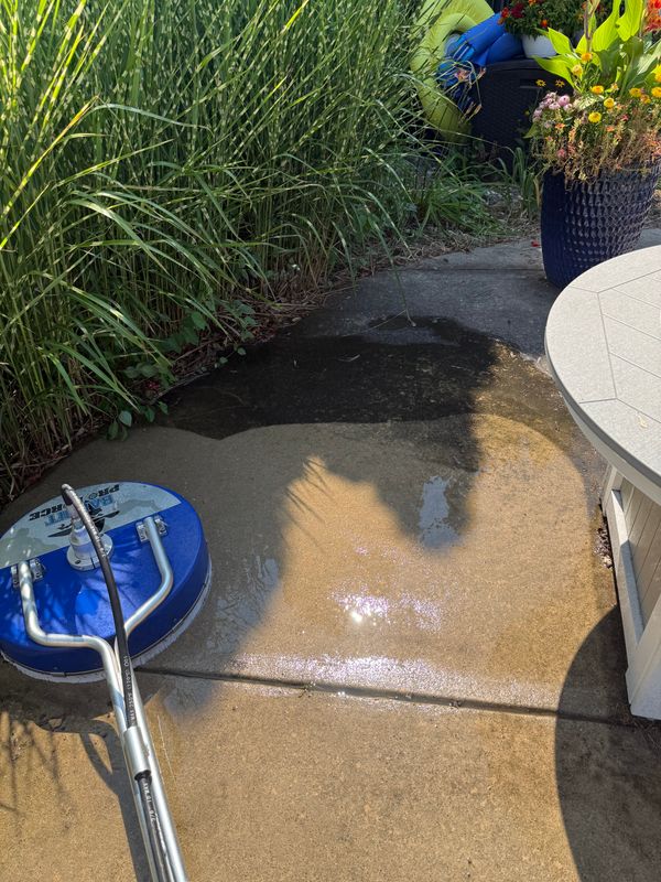 Driveway and Sidewalk Soft Washing
