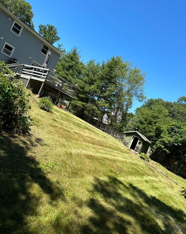 Lawn Care
