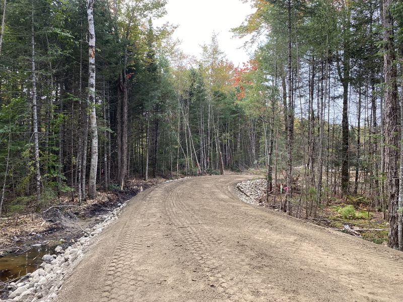 Land Clearing & Forestry Mulching