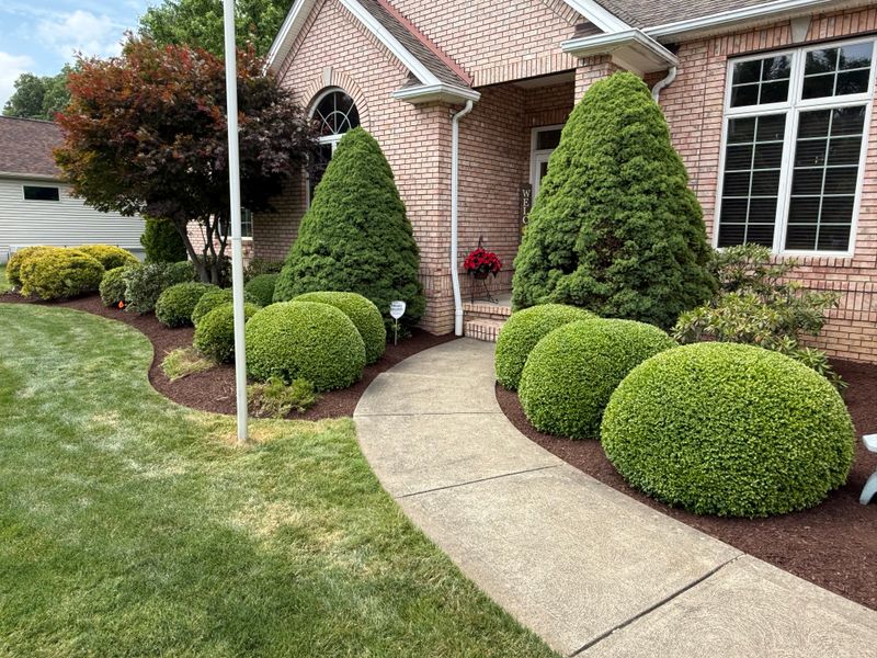 Shrub Trimming