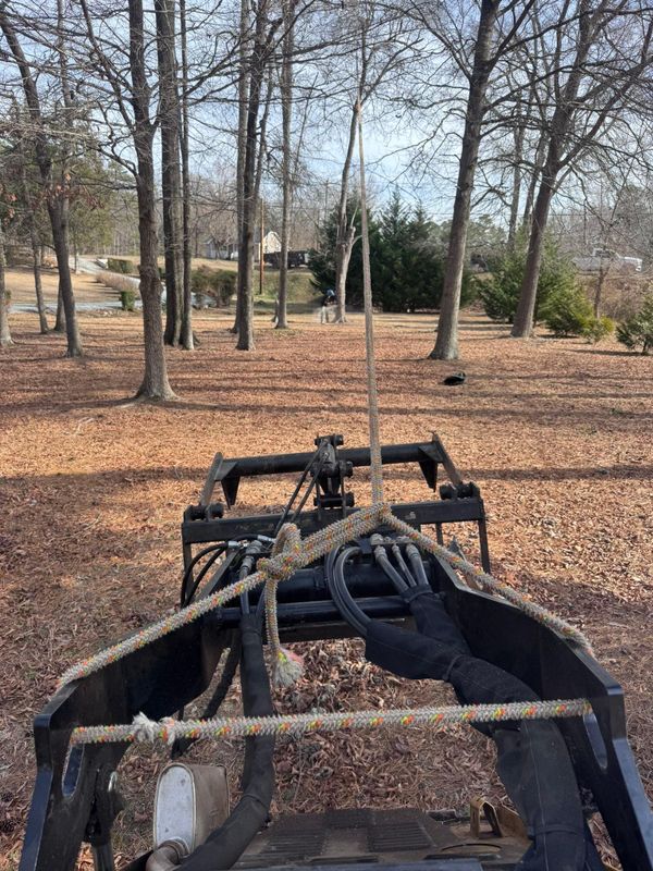 Stump Removal