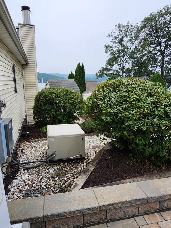 Hedge/Tree/Brush Cutting