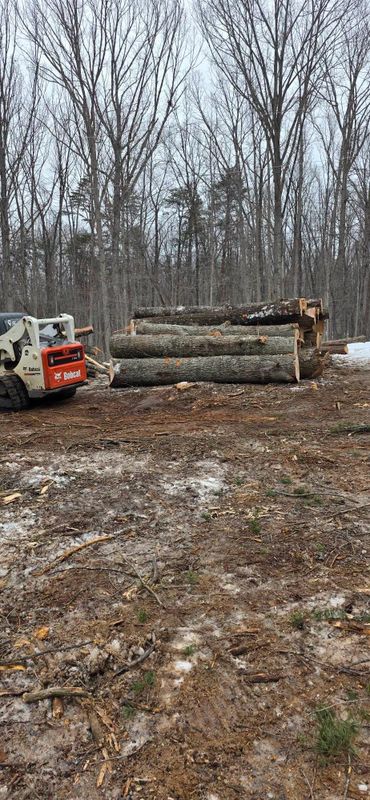 Stump Removal