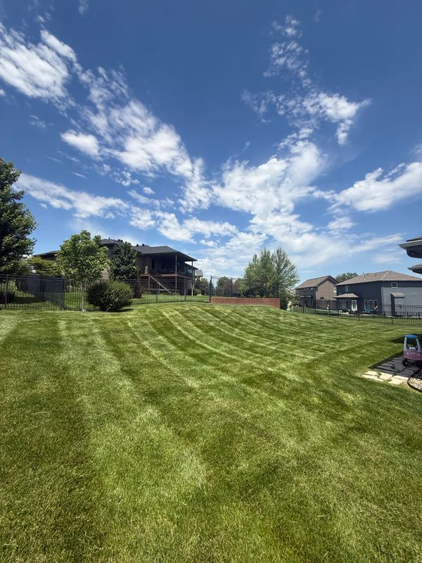 Lawn Care
