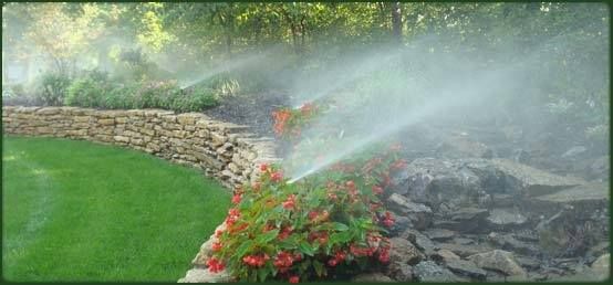 Irrigation Foundation Drip