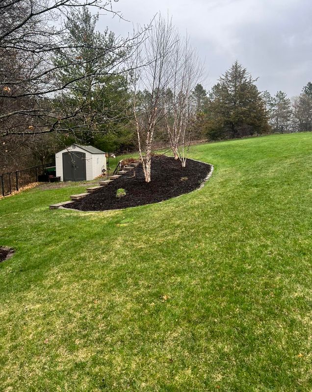 Lawn Care