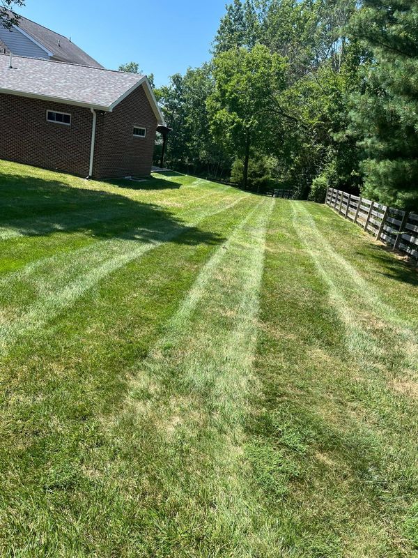 Lawn Maintenance