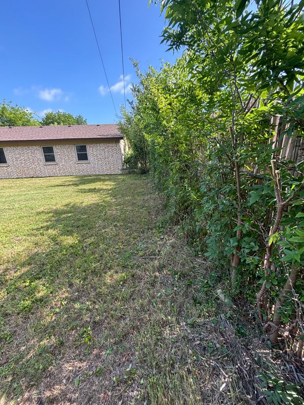 Shrubbery trimming and removal