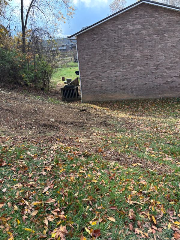 Forestry Mulching