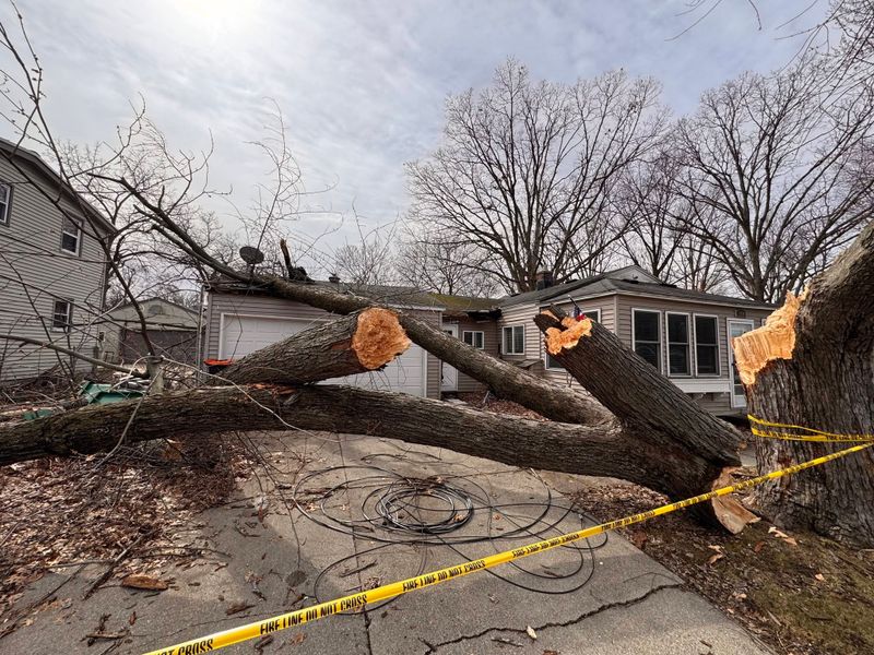 Storm Damage Mitigation
